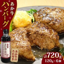 【ふるさと納税】【日本ギフト大賞熊本賞受賞！】あか牛 100％ハンバーグ セット 120g×6個 冷凍 個包装 タレ付き 熊本 赤牛 褐牛 あかうし 褐毛和種 肥後 冷凍 国産 牛肉【有限会社 三協畜産】[YCG003] 15000 15,000 15000円 15,000円