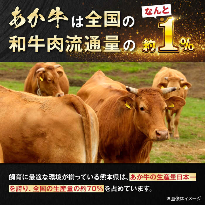 【ふるさと納税】【全3回定期便】熊本県産 あか牛 あか牛丼セット モモ 200g 冷凍 専用タレ付き あか牛のたれ付き 熊本和牛【有限会社 三協畜産】[YCG055] 45000 45,000 45000円 45,000円