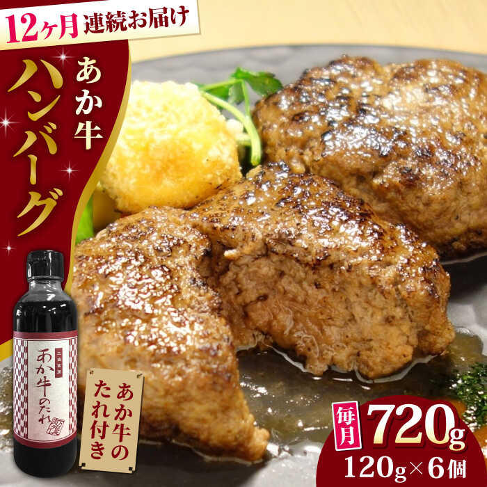 [全12回定期便][日本ギフト大賞 受賞]熊本県産 あか牛ハンバーグ セット 計720g ( 120g × 6個 ) 冷凍 専用タレ付き あか牛のたれ付き 個包装 熊本和牛[有限会社 三協畜産][YCG083] 180000 180,000 180000円 180,000円 18万円