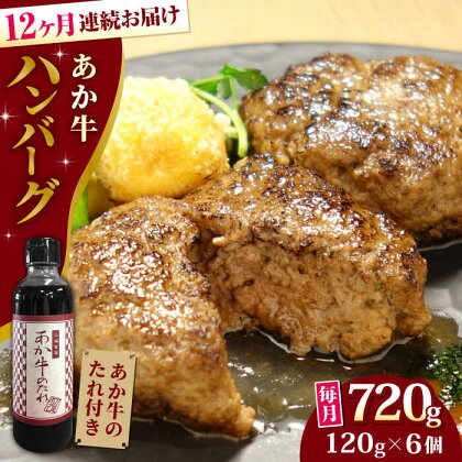 【全12回定期便】【日本ギフト大賞 受賞】熊本県産 あか牛ハンバーグ セット 計720g ( 120g × 6個 ) 冷凍 専用タレ付き あか牛のたれ付き 個包装 熊本和牛【有限会社 三協畜産】[YCG083] 180000 180,000 180000円 180,000円 18万円