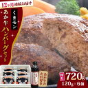 【ふるさと納税】【全12回定期便】【日本ギフト大賞 受賞】熊本県産 あか牛 くまモン あか牛ハンバーグ セット 計720g ( 120g × 6個 ) 熊本和牛...