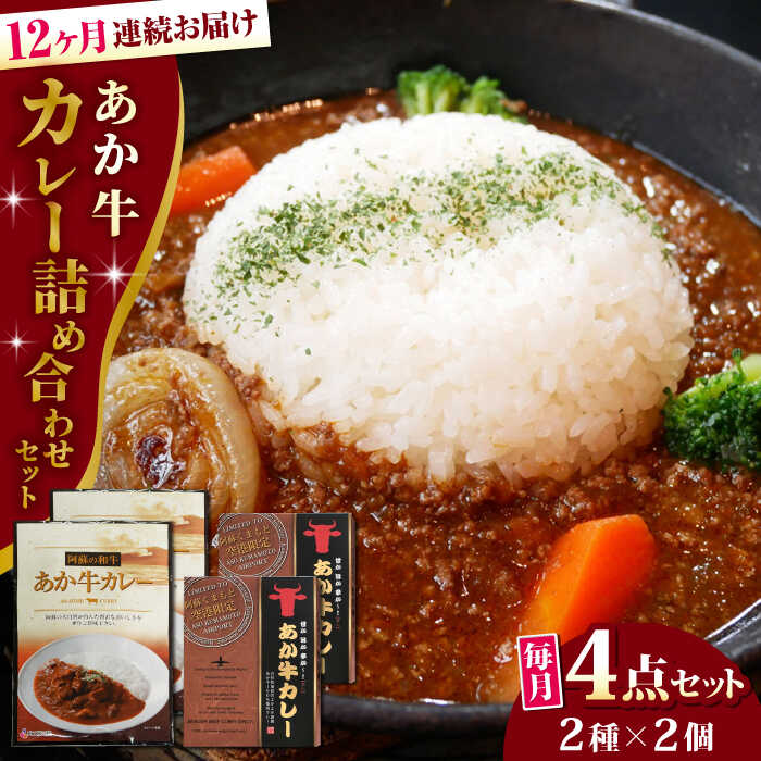 【全12回定期便】熊本県産 あか牛 カレー詰め合わせセット 計4個 ( カレー 2種 各2個 ) 熊本和牛【有限会社 三協畜産】[YCG097] 180000 180,000 180000円 180,000円 18万円