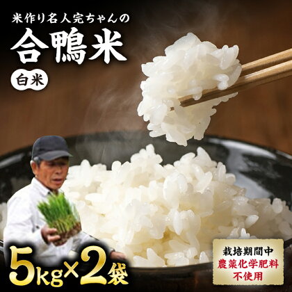 【令和5年産】合鴨米 白米 計10kg ( 5kg × 2袋 ) 米作り名人完ちゃんの合鴨米 栽培期間中農薬化学肥料不使用 熊本県産 [YCT001] 27000 27,000 27000円 27,000円