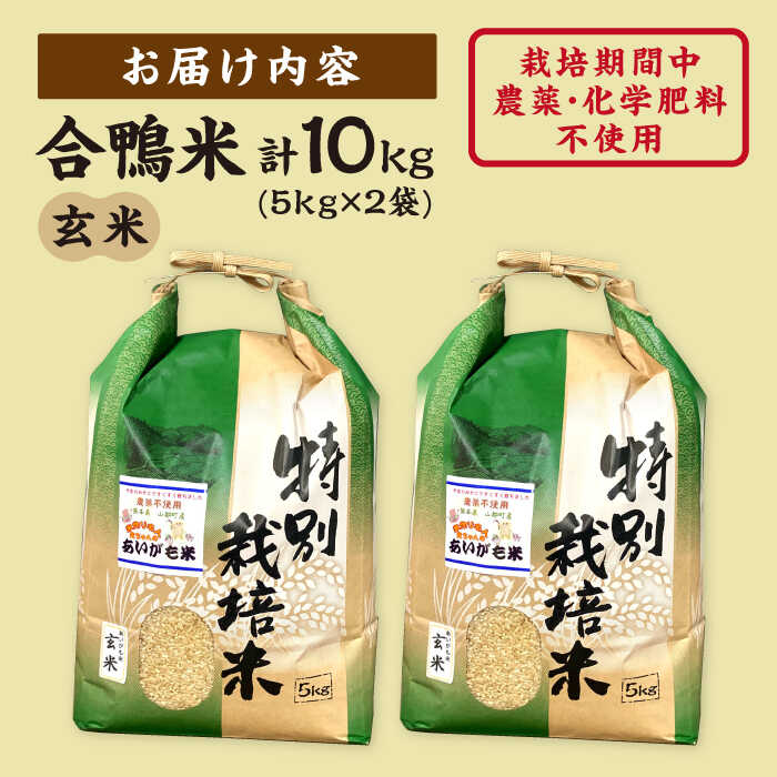 【ふるさと納税】【令和5年産】合鴨米 玄米 計10kg ( 5kg × 2袋 ) 米作り名人完ちゃんの合鴨米 栽培期間中農薬化学肥料不使用 熊本産[YCT002] 27000 27,000 27000円 27,000円