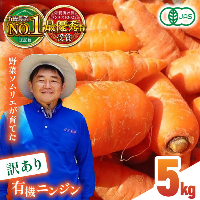 [訳あり]有機 ニンジン 規格外品 約5kg 野菜 にんじん 人参 ジュース サラダ 有機JAS認定 オーガニック野菜 熊本県産 山都町産 産地直送 熊本直送 訳アリ わけあり [グリーンファーム矢部]