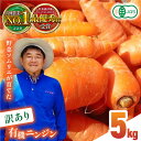 有機 ニンジン 規格外品 約5kg 野菜 にんじん 人参 ジュース サラダ 有機JAS認定 オーガニック野菜 熊本県産 山都町産 産地直送 熊本直送 訳アリ わけあり 