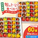 【ふるさと納税】【全3回定期便】【期間限定】熊本県産 減農薬栽培 トマト ミディトマト 詰め合わせ 30個×2セット 計60個 食べ比べ ギフトセット 産地直送...