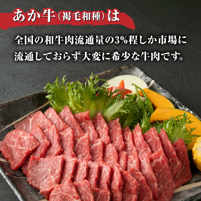 【ふるさと納税】肥後の赤牛 焼肉 500g やきにく 焼き肉 赤身 贅沢 熊本 赤牛 褐牛 あかうし 褐毛和種 肥後 冷凍 国産 牛肉【やまのや】[YDF005] 12000 12,000 12000円 12,000円