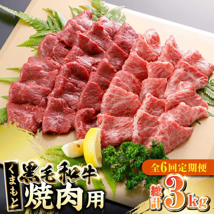 [全6回定期便]くまもと黒毛和牛 焼肉用 500g やきにく 焼き肉 国産 冷凍 熊本産 贅沢 ブランド牛 牛肉[やまのや][YDF024] 66000 66,000 66000円 66,000円