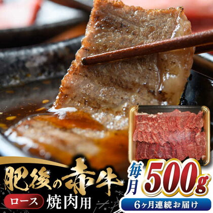 【全6回定期便】 【数量限定】 肥後の赤牛　ロース 焼肉用 500g 【やまのや】[YDF047]