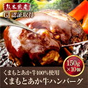 【ふるさと納税】GI認証 くまもとあか牛 100％ ハンバーグ 150g×10個 熊本 赤牛 あか牛 褐牛 あかうし 褐毛和種 肥後 冷凍 国産 牛肉【くまふる山都町】[YDG004] 10000 10,000 10000円 10,000円 1万円