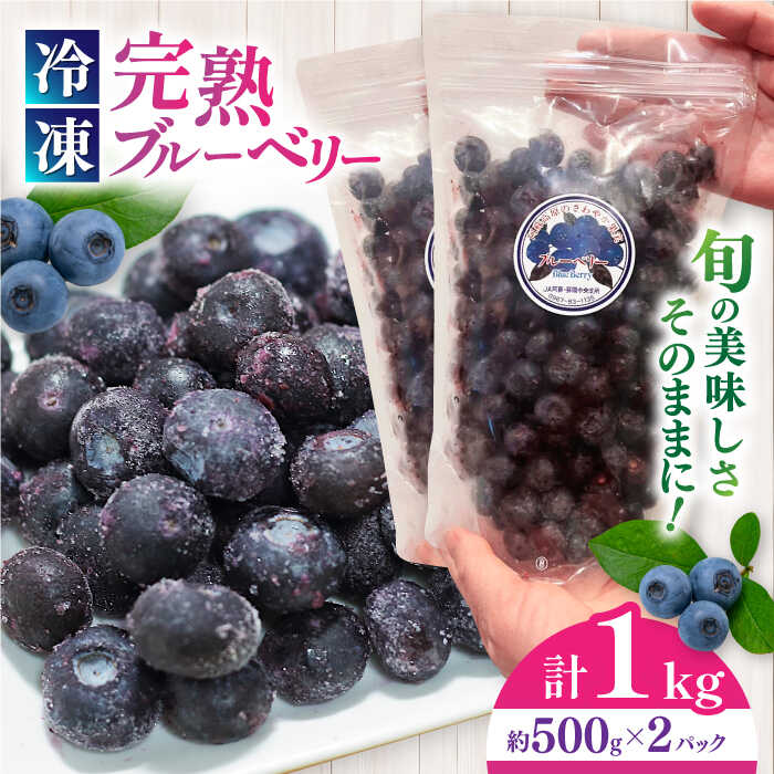 【ふるさと納税】旬の美味しさそのまま！冷凍 完熟ブルーベリー 計1kg (約500g×2パック) 【マルク ザ...