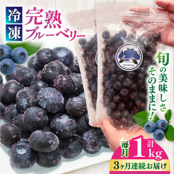 [全3回定期便]旬の美味しさそのまま!冷凍 完熟ブルーベリー 計1kg (約500g×2パック) [マルク ザ・ガーデン]