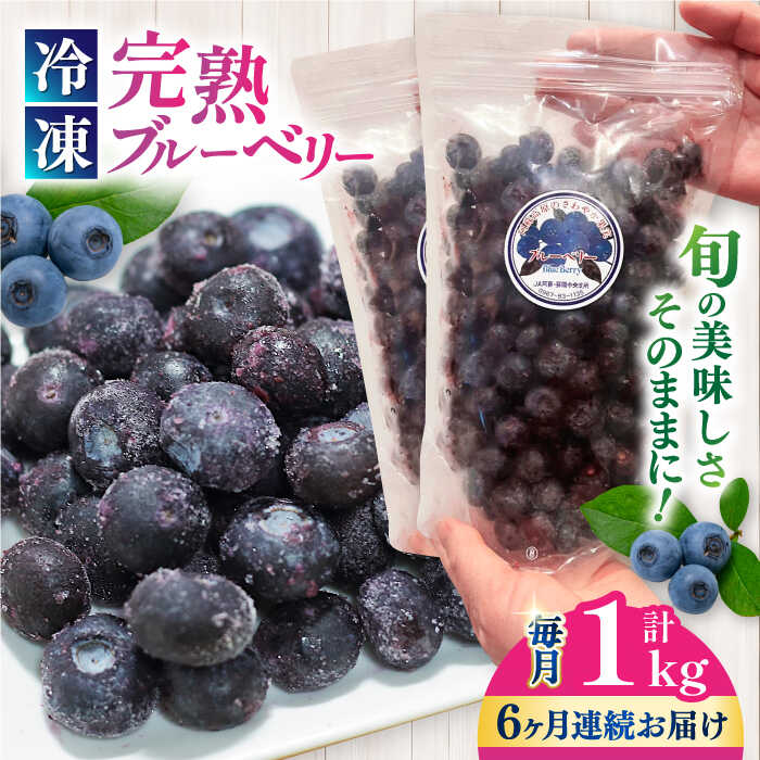 楽天熊本県山都町【ふるさと納税】【全6回定期便】旬の美味しさそのまま！冷凍 完熟ブルーベリー 計1kg （約500g×2パック） 【マルク ザ・ガーデン】[YDI003]