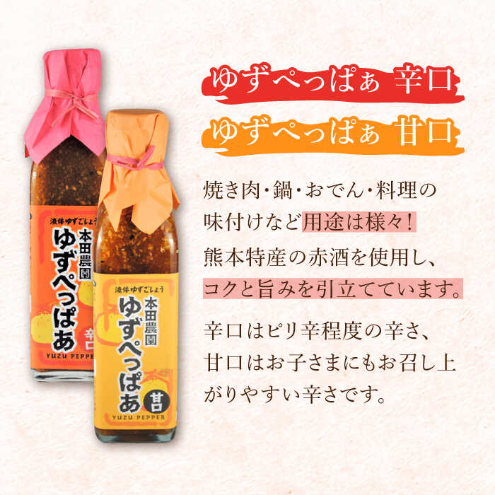 【ふるさと納税】ゆずぺっぱぁ 辛口 甘口 200ml 各1本 柚子 ゆず 調味料 熊本 山都町【本田農園】[YDL011] 10000 10,000 10000円 10,000円 1万円