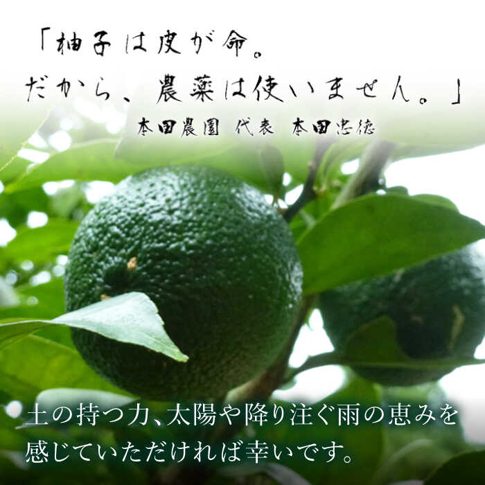 【ふるさと納税】【全12回定期便】ゆず丸搾り 200ml 2本 柚子 ゆず 調味料 熊本 山都町【本田農園】[YDL041] 120000 120,000 120000円 120,000円 12万円 3