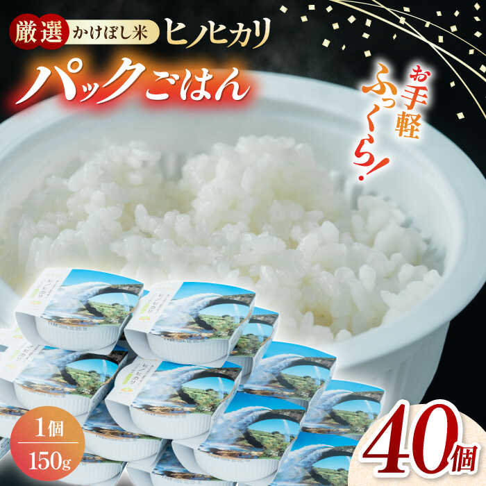 [数量限定]いちょうの畑 パックご飯 ヒノヒカリ 150g×40パック [農事組合法人いちょう]