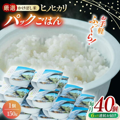 【全6回定期便】 【数量限定】いちょうの畑 パックご飯 ヒノヒカリ 150g×40パック 【農事組合法人いちょう】[YDN007]