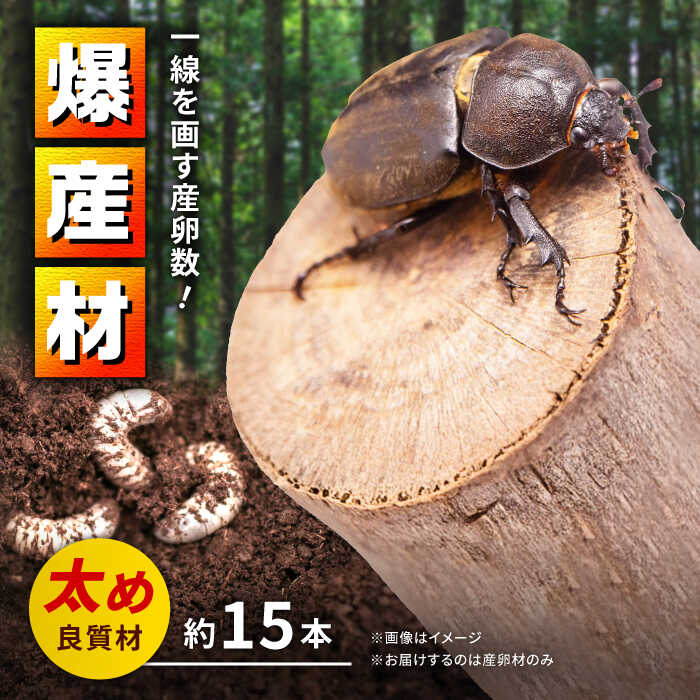 クヌギ カブトムシ クワガタ用 楽天市場】【ふるさと納税】オリジナル 色虫対応 産卵材