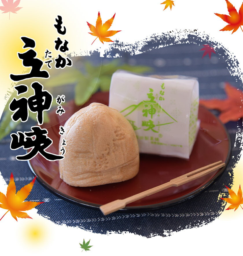 熊本県氷川町の画像2