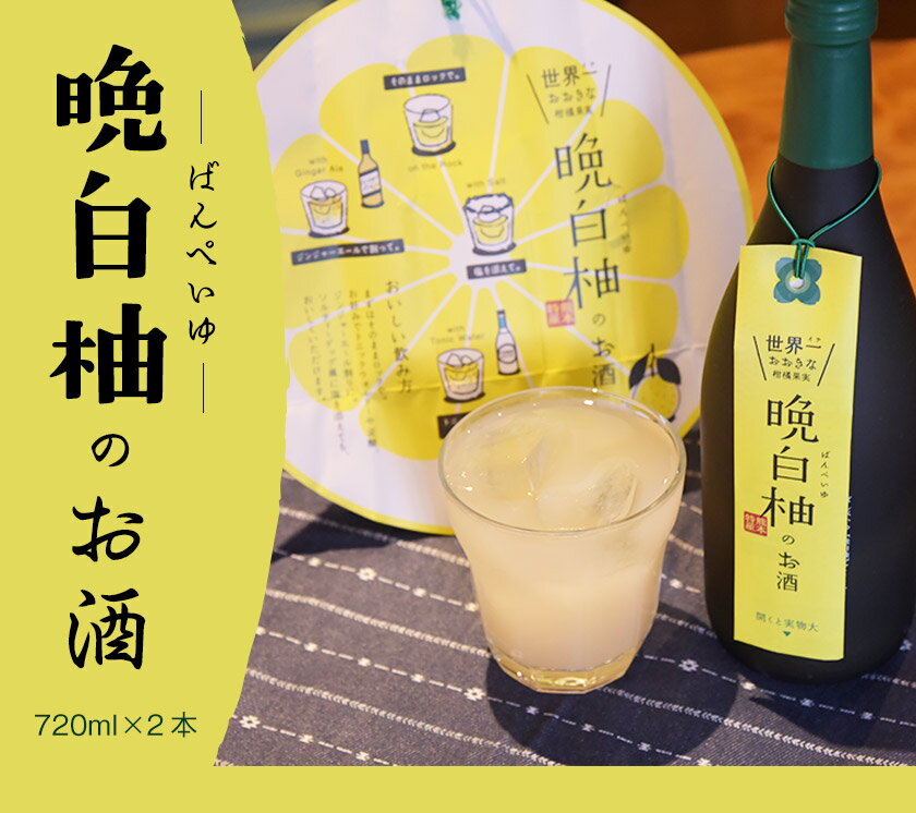 【ふるさと納税】「はやし屋」の晩白柚のお酒 2本セット 熊本県氷川町産《30日以内に出荷予定(土日祝除く)》