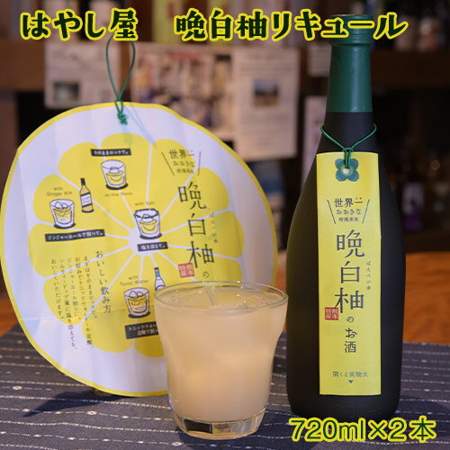 【ふるさと納税】「はやし屋」の晩白柚のお酒 2本セット 熊本県氷川町産《30日以内に出荷予定(土日祝除く)》