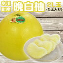 【ふるさと納税】晩白柚(2Lサイズ×2玉)熊本県氷川町産 ひ...