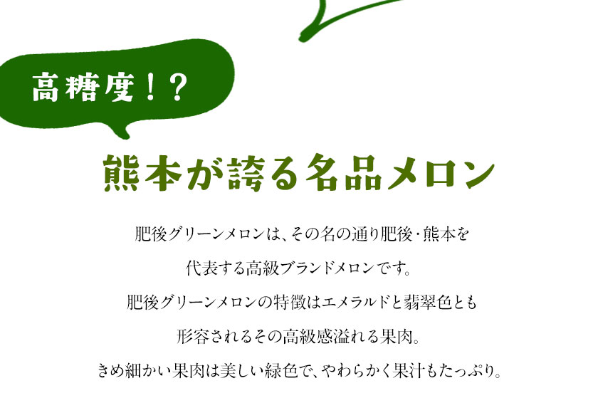 熊本県氷川町の画像3