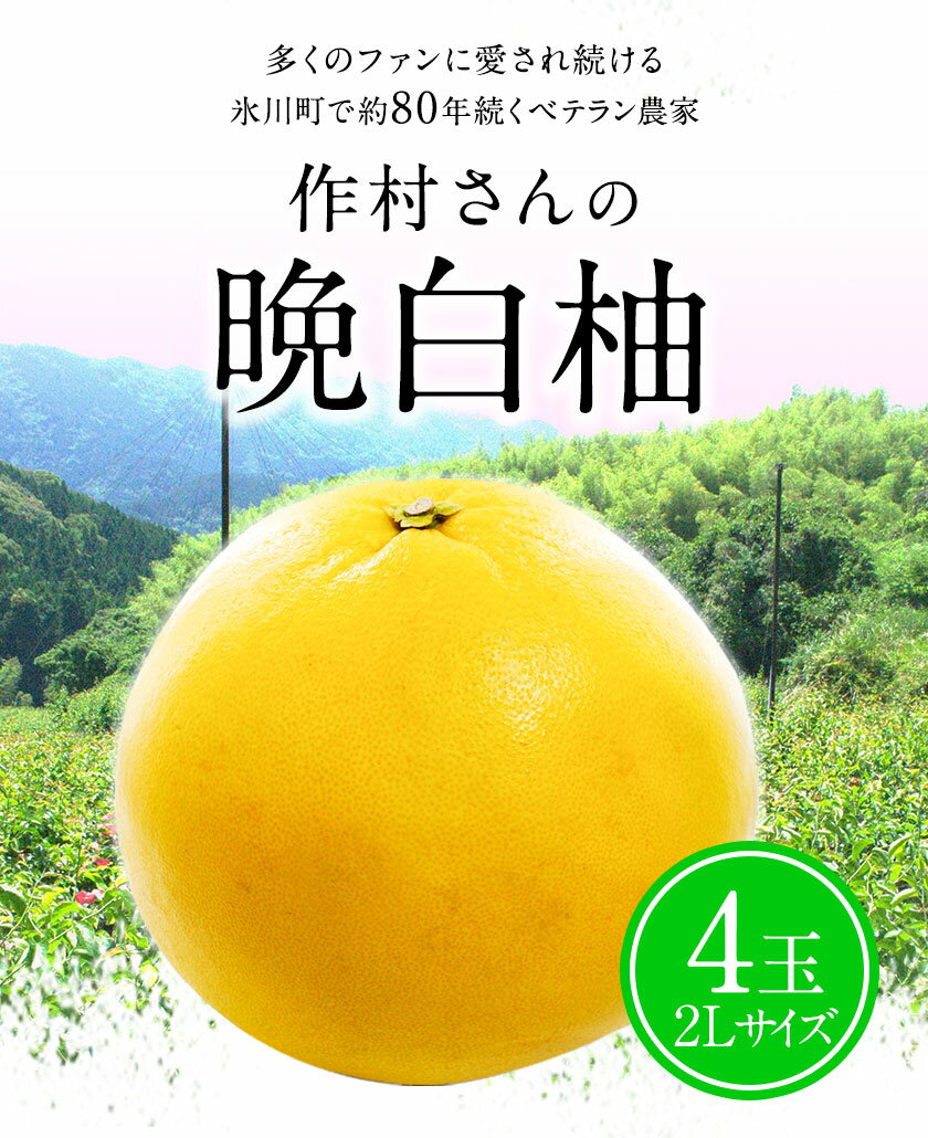 熊本県氷川町の画像2