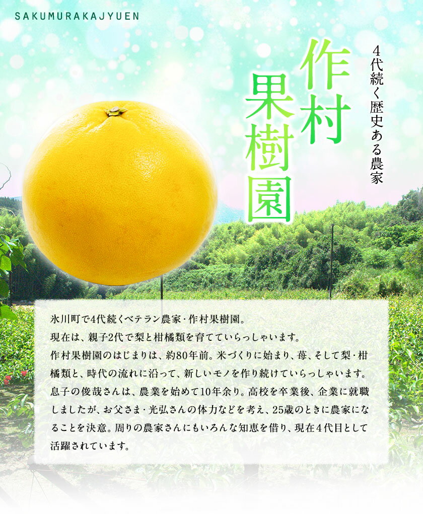 熊本県氷川町の画像3