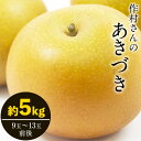 【ふるさと納税】秋 旬 梨 フルーツ 作村果樹園のあきづき梨 約5kg(9~13玉前後) 熊本県氷川町産 作村果樹園《8月中旬-9月末頃出荷》梨 なし