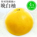 【ふるさと納税】【先行予約】フルーツ 旬 フルーツ 晩白柚 期間限定 作村果樹園の晩白柚 4玉(2Lサイズ) 《12月下旬-1月末頃出荷》果物 フルーツ ザボン 熊本 特産品