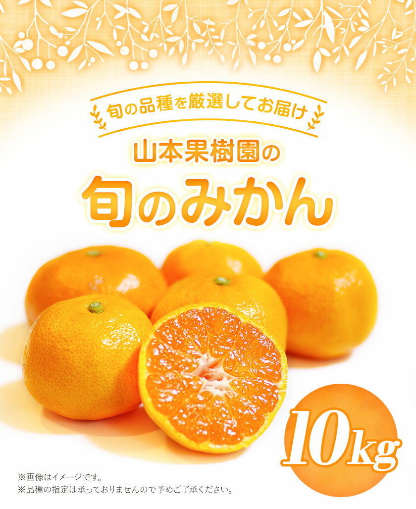 熊本県氷川町の画像2