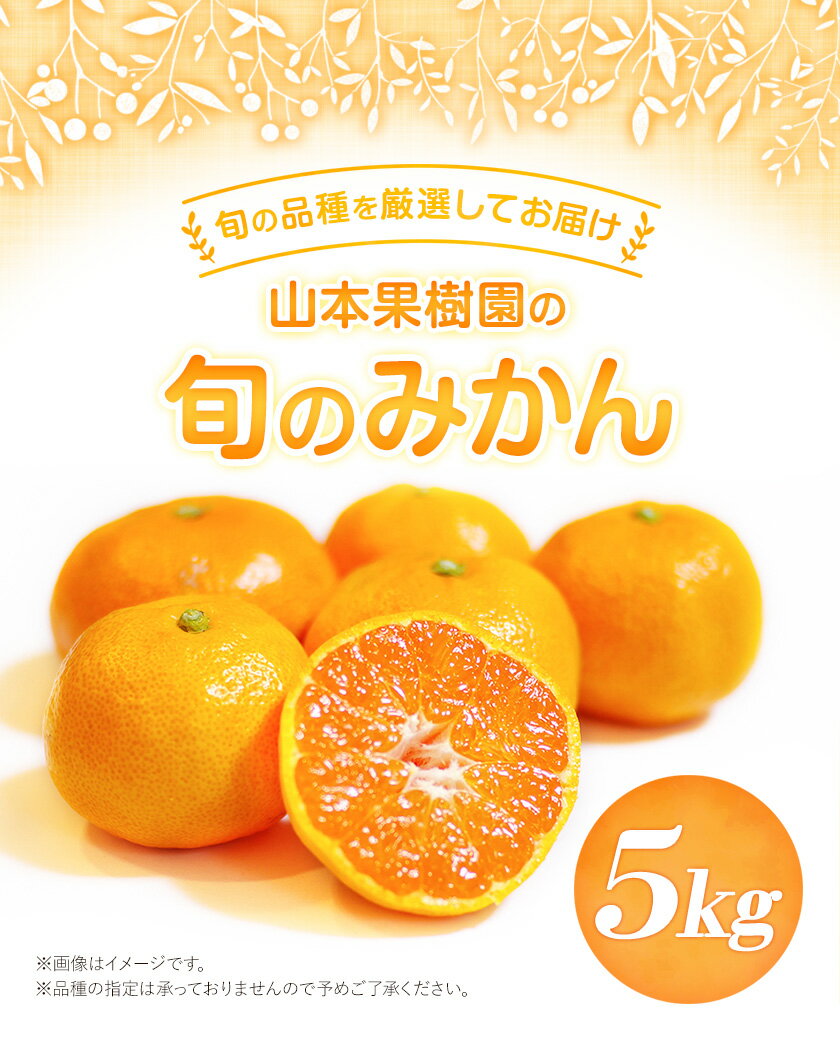 熊本県氷川町の画像2