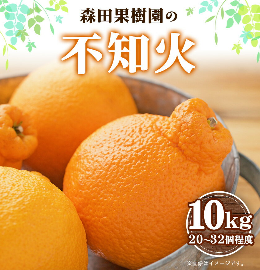 熊本県氷川町の画像2