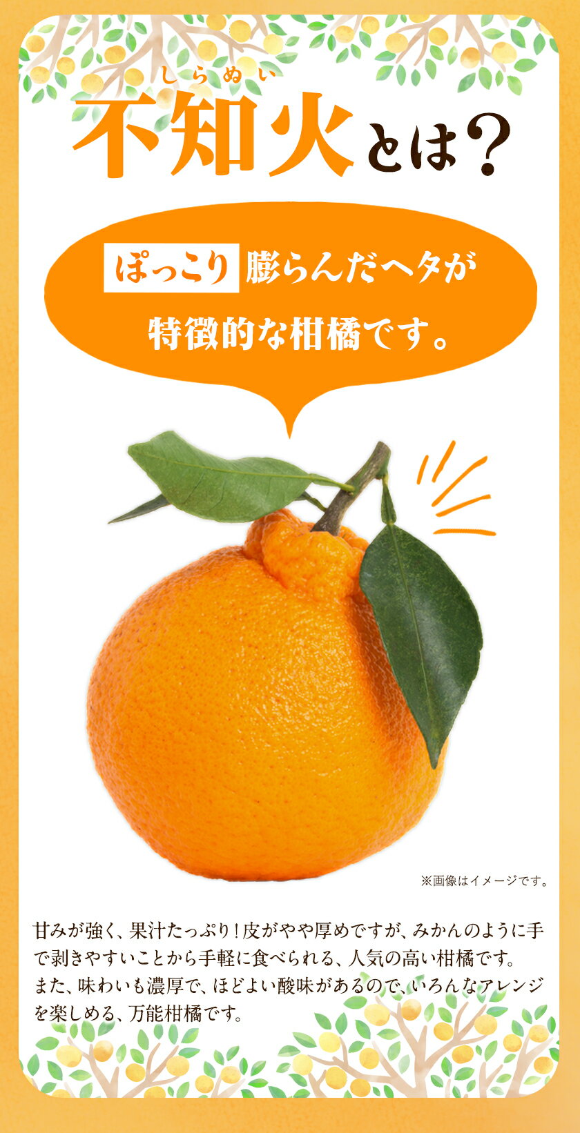 熊本県氷川町の画像3