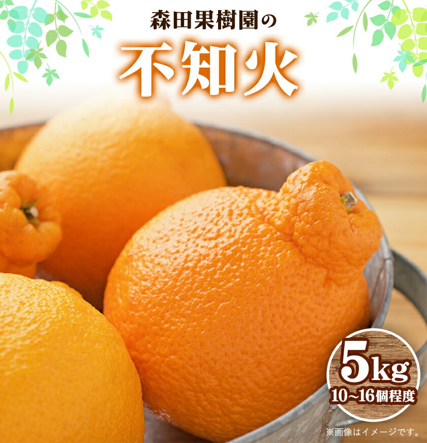 44位! 口コミ数「0件」評価「0」【先行予約】森田果樹園の不知火 5kg 10〜16個程度　《2月中旬-4月下旬頃出荷》森田果樹園 果物 フルーツ 柑橘 熊本