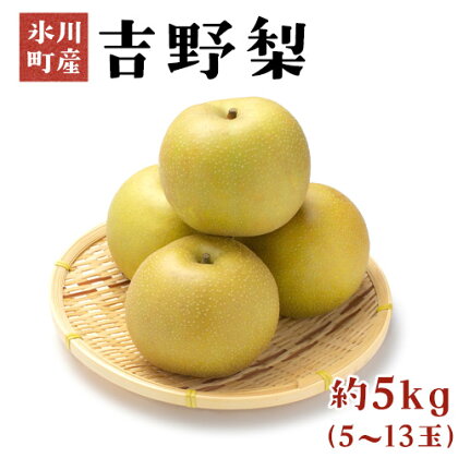 熊本県氷川町産 吉野梨約5kg(5〜13玉前後) 《7月下旬-9月下旬頃より順次出荷》