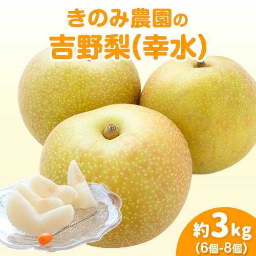 29位! 口コミ数「0件」評価「0」きのみ農園の吉野梨（幸水）3kg 6個～8個 熊本県氷川町産 きのみ農園《7月下旬-8月上旬頃出荷》