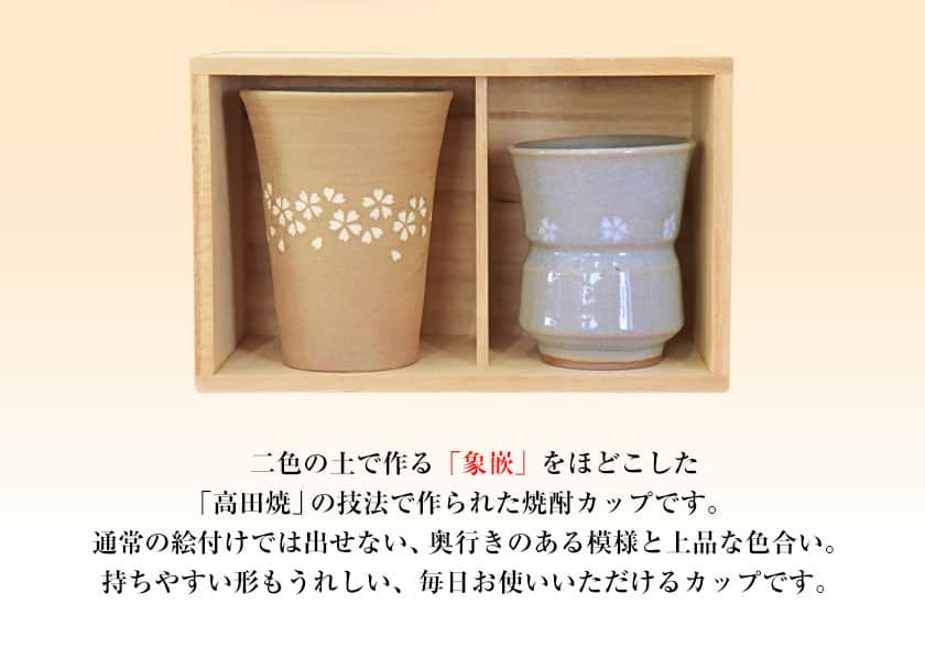 熊本県氷川町の画像3