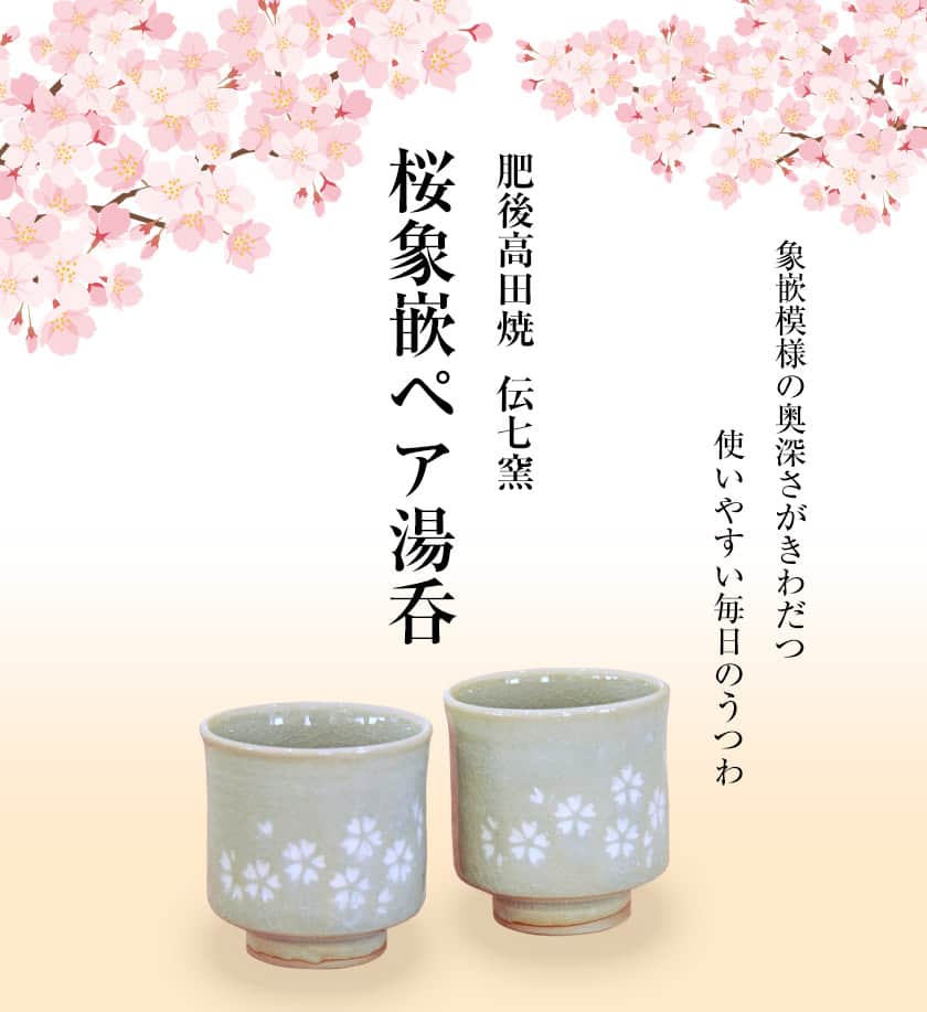 熊本県氷川町の画像2