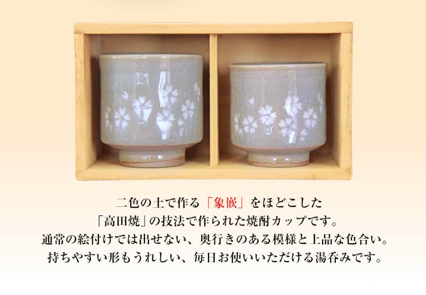 熊本県氷川町の画像3