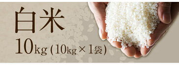 【ふるさと納税】【先行予約】 令和2年 新米ひのひかり(白米)約10kg(10kg×1袋) 熊本県産(氷川町産含む) ★精米《2020年11月上旬-2021年1月下旬頃より順次出荷》