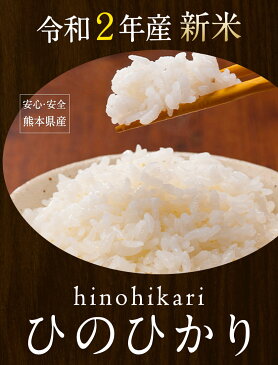 【ふるさと納税】【先行予約】 令和2年 新米ひのひかり(白米)約10kg(10kg×1袋) 熊本県産(氷川町産含む) ★精米《2020年11月上旬-2021年1月下旬頃より順次出荷》