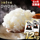 【ふるさと納税】令和4年産 6ヶ月定期便 ひのひかり 12kg(6kg×2袋) 計6回お届け 熊本県産 白米 精米 氷川町 ひの《お申込み月の翌月より出荷開始》