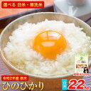 【ふるさと納税】令和2年産新米 ひのひかり22kg 熊本県産
