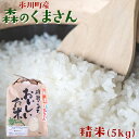 【ふるさと納税】森のくまさん 精米5kg 熊本県氷川町産 立神峡里地公園《30日以内に順次出荷(土日祝除く)》