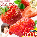 【ふるさと納税】いちご 苺 ひのしずく 約500g ~ 約1,500g みやざき農園(約250g×2~6パック) 定期便 熊本 いちご 苺 イチゴ 熊本県 氷川町 いちご《3月上旬-4月末頃出荷》熊本県 氷川町 果物 フルーツ 先行 予約 アフター保証 ふるさと納税 いちご おすすめ