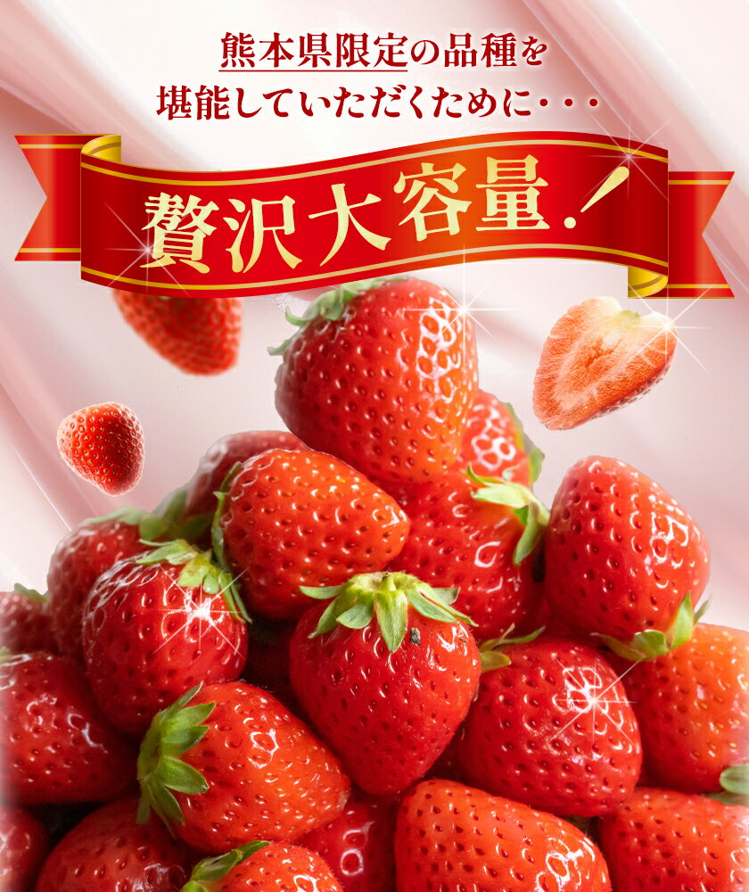 熊本県氷川町の画像3