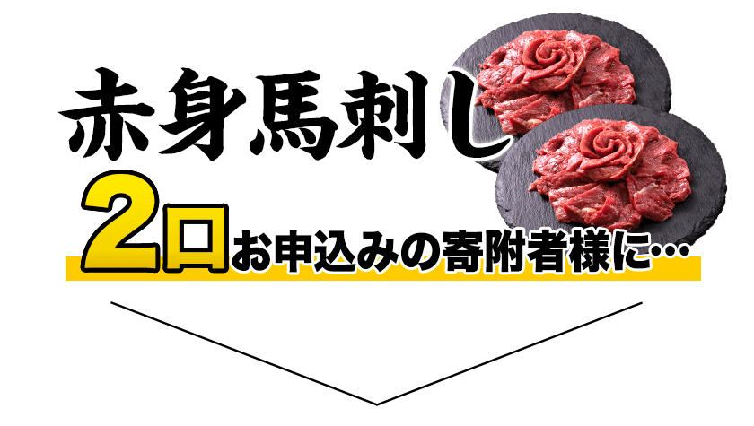 【ふるさと納税】赤身馬刺し500g以上【純国産熊本肥育】 たっぷり500g以上 約100g前後×5ブロック(タレ5ml×10袋) 2個お申込みでコーネ(たてがみ) 50gも一緒にお届け《3-7営業日以内に順次出荷(土日祝除く)》
